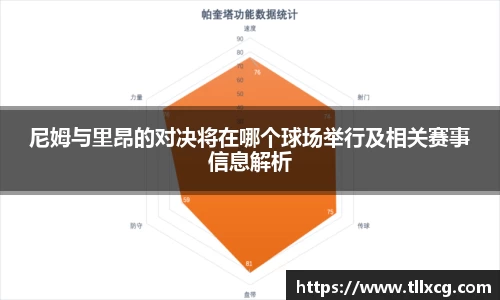 尼姆与里昂的对决将在哪个球场举行及相关赛事信息解析