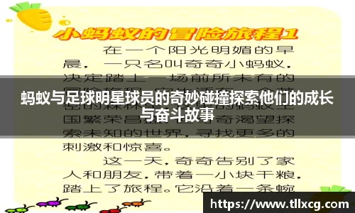 蚂蚁与足球明星球员的奇妙碰撞探索他们的成长与奋斗故事