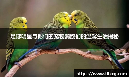 williamhill威廉希尔