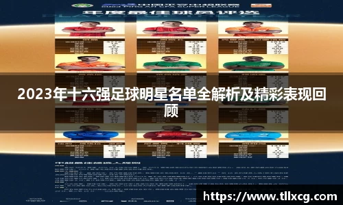 2023年十六强足球明星名单全解析及精彩表现回顾